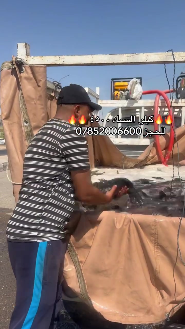 كيلو السمك ٤٥٠٠🔥🔥
كيلو السمك المشوي٥٥٠٠🔥
للحجز يوجد توصيل

***********
حصيبة الشرقية المضيق الشارع العام
