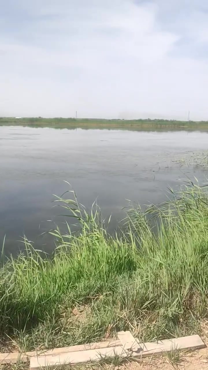 للايجار 
بحيرات مجازه مسطح ماء ٧٥ دونم كهرباء متوفره ظفيره كهرباء واصله لنص الأحواض  ماي سيح او تعليك بكيف الماجر بيت سكن للبحيرات مخزن للبحيرات
واسط نهر دجلة 
***********
