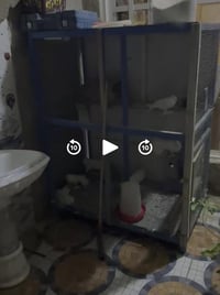 قفص • بعقوبة • بدون طيور