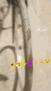 سلام عليكم بايسكل للبيع نضافه فول سعر 90مكان البصرة وتساب ***********
