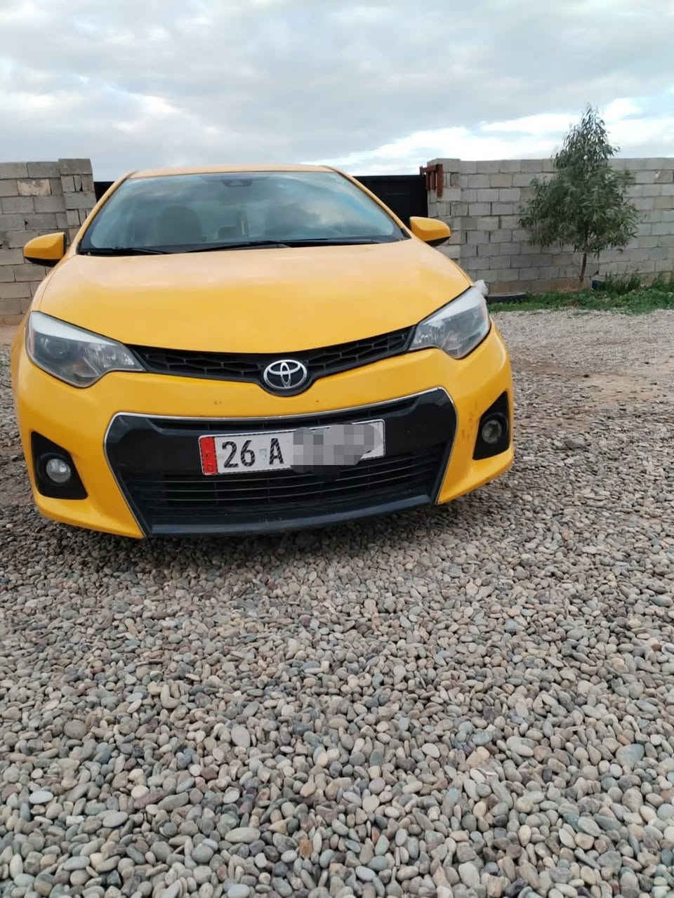 كورلا رقم صلاح الدین  2019رقم نگليزي سنويه
/2031 شرط تحويل وكاله منظومة غاز ضرر بونيد وجاملق السعر135

التصال***********
