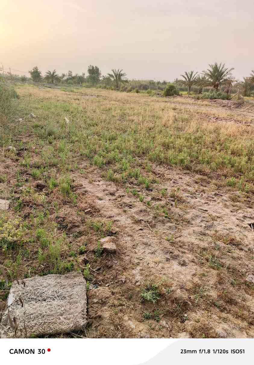 ارض زراعيه للبيع
دونم قانون 117
متوفر كهرباء وماء 

‏‪***********‬‏
