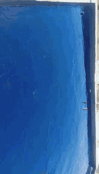 بسم الله الرحمن الرحيم  شعارنا في العمل مخافة الله ،( اسعار مناسبه اشت...