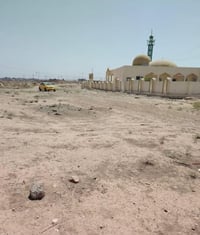 القوسيات • ١٥٠م • سند زراعي ٢٥