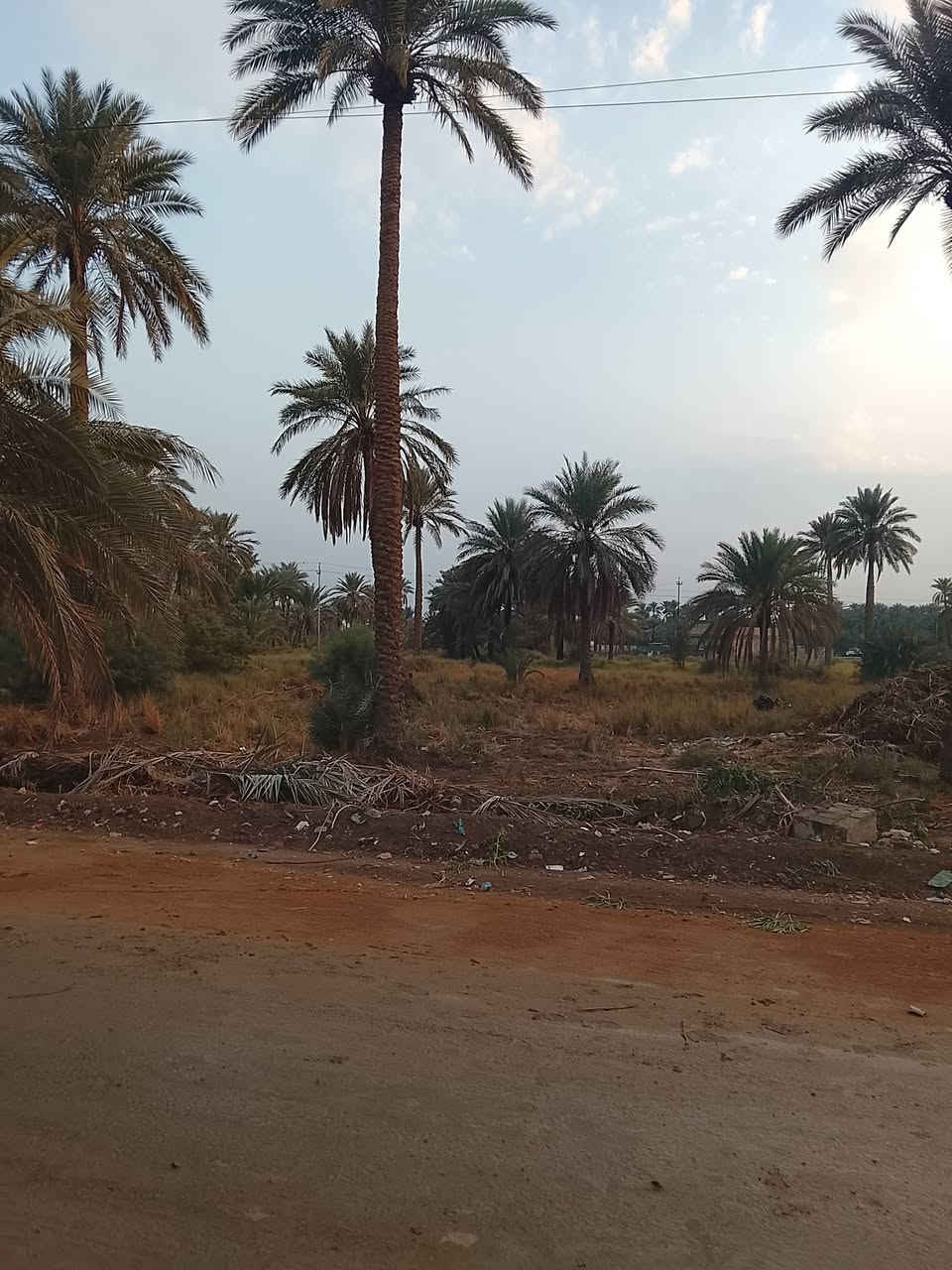 دونمين ونص مع نخيل سند 25 للبيع  كافت الخدمات تبليط مي كهرباء


**إذا كنت صاحب هذا الإعلان وتريد حذفه لأي سبب، رجاءا أرسل رسالة إلى الدعم الفني**