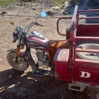 ستوته داي وان • ٢٠١٤ • بلا نقص