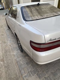شيزر • ١٩٩٣ • بصرة جزائر