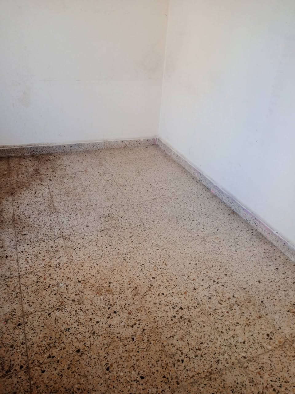 بسم الله الرحمن الرحيم
للإيجار 

شقه طابق ثاني غرفتين نوم وصاله ومطبخ وخدمات حديثه حي الشباب للاستفسار مكتب ابو كرار للعقار مجاور مصوره ايات أو الاتصال على الارقام التاليه 

***********

***********
