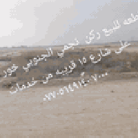 النجمي الجنوبي • خور الزبير • ٧٠٠٠م