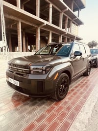 سنتافي XRT • ٢٠٢٥ • ١٥٠٠٠ ميل