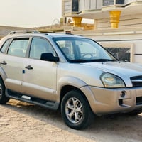 توسان • ٢٠٠٩ • قطعتين صبغ