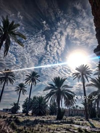 اليوسفيه ابو حصوه • دونمين • طابو سند 25