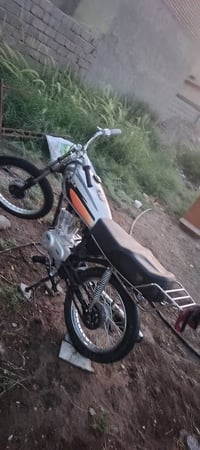 سكنر • كوت • الحكيم