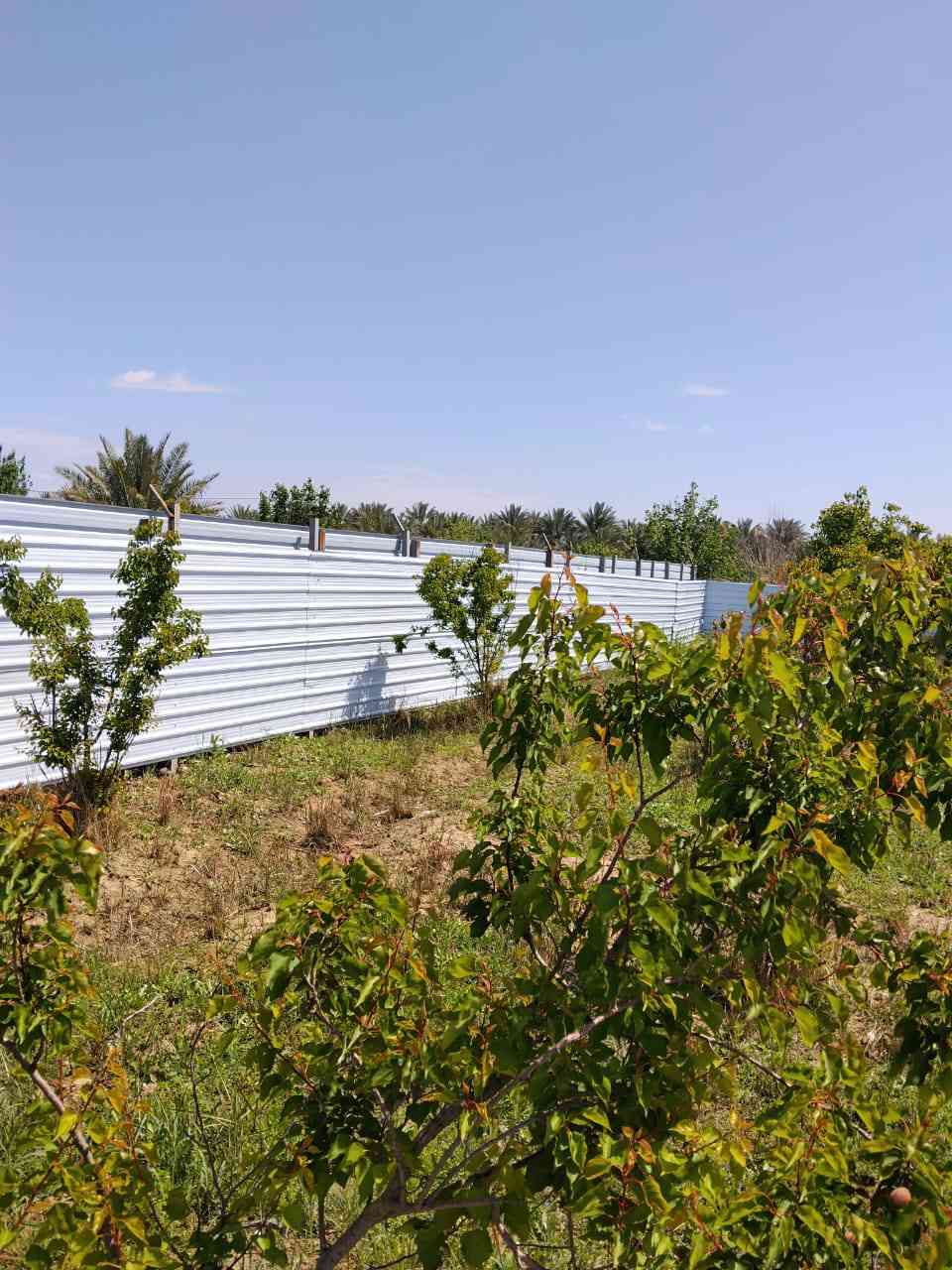 1100 ركن على شارعين كامل خدمات من كل النواحي كهرباء ماء اسله ماء سقي من نهر دجلة مباشر طابو زراعي سند ٢٥  تحويل مباشر بائسم المشتري وليس اقرار محكمة 
مسيجه بل كامل العنوان بغداد الراشدية سعرها ٦٥ وبيها مجال 
900 متر طابو زراعي سند ٢٥ تحويل مباشر بائسم المشتري وليس اقرار محكمة 
سعرها 50  وقابله للتفاوض  
***********
***********
