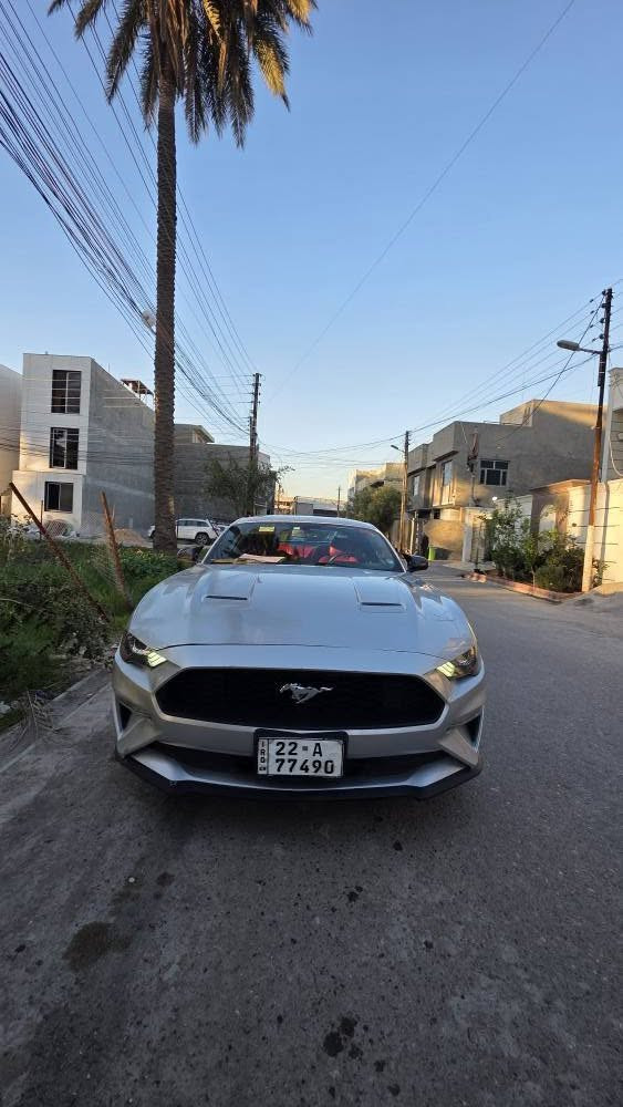 فورد موستنك 2018  ب120 وبيها مجال بسيط محرك ايكو بوست 2.3 تيربو
الكير اوتو  10 نمر 
السياره ماشيه 54 ميل 
تشغيل عن بعد،شاشه جبيره سنك ٣،تدفئه تبريد،حساسات كامره،تحكمات ستيرن  
السياره بلادية كير مكينة مامفتوح وماعليها اي برمجة والشاشة مابيها اي كلوب 
حادث السيارة بامريكا جاملغ عكس السائق وربع البنيد وبالعراق صار بيها حادث الجاملغ الخلفي والباب تبدل نفس اللون
سنويه جديده تنتهي ب 2030 و هزة جديده تنتهي ب2026 شهر  9 يعني تتحول بدون متاخذ السيارة
حاظر للتحويل او وكالة
موقع السيارة بغداد
***********
*********** بغداد, العراق
