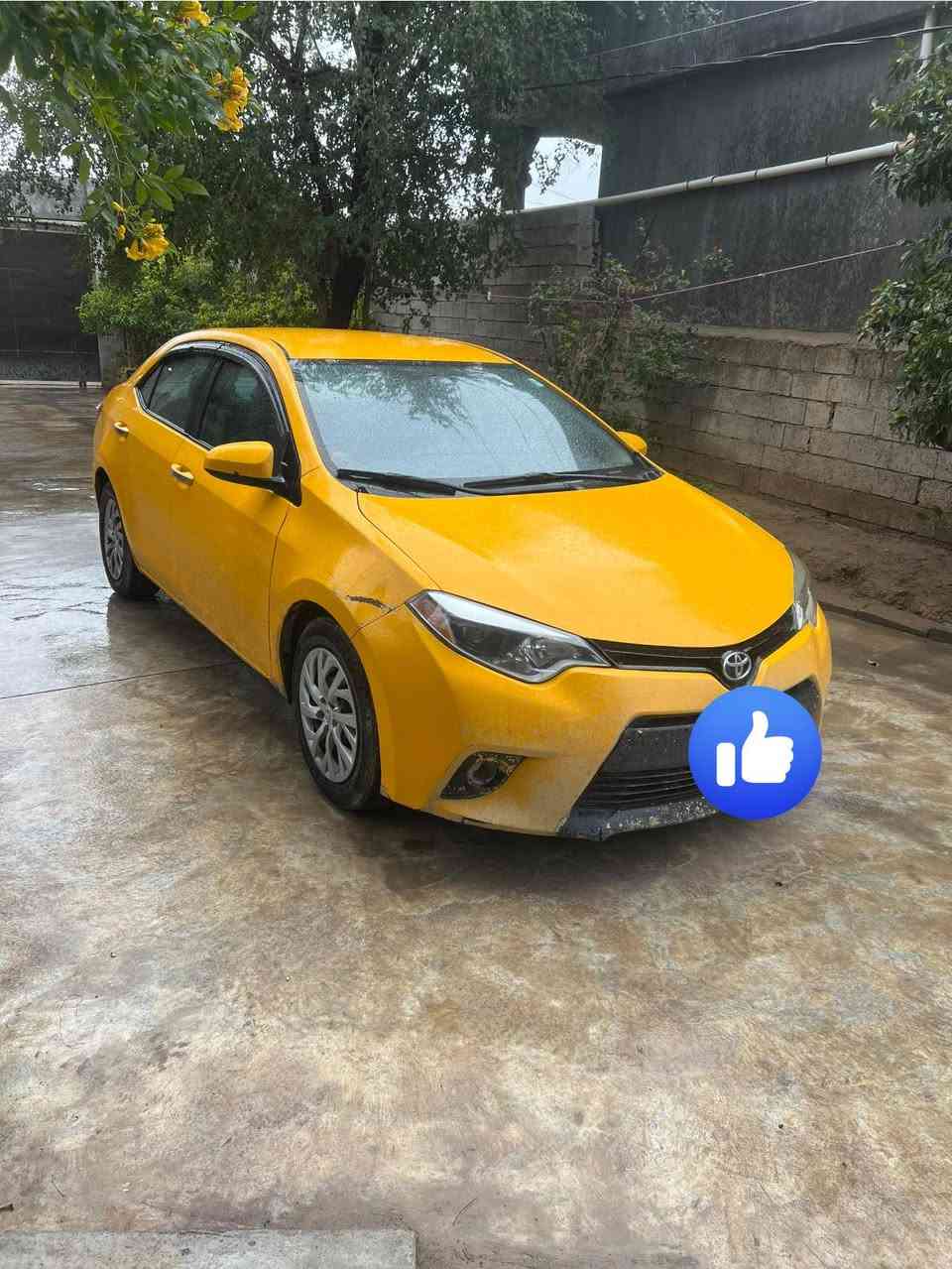 كورلا 2014 le للبيع
رقم سيارة ديالى مشروع وطني سنوية ماساقطة باسمي 
هيئة مصفرة 
كير جديد مال2020 شادلها ومحرك مابي تنقيص 
منضومة غاز 
تخم تاير جديد 
حادثها جامرلغ وراس البونيد بدون تبديل بدون دواخل وبيها بارد شبر هم  سونااار مابيها ماماخذلها
السعر 125 مكان سيارة ديالى جلولاء 
***********
