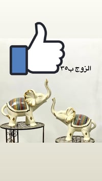 للتواصل ٠٧٧٣٤٢٢٢٣٠٠