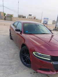 SXT • كرزي • ٢٠١٧