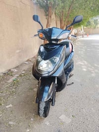 سكنس فحل • أوراق كاملة • بغداد الشعب