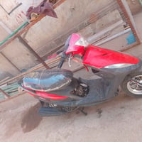 ماكس • رياضي • زينون