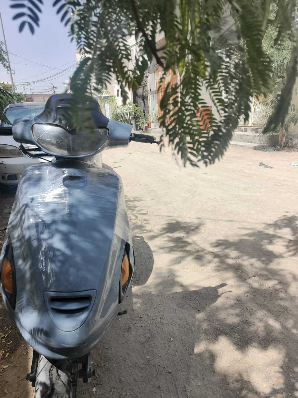 فراشه فحل للبيع ما عوزه أي شي مكينه ما مفتوحه كل شي شغال بيه نضافته مثل مشوف بصور معتني بيه من كل شيء 
سعره 450وبيه مجال للشراي عنوان نجف شارع مطار القديم ***********
