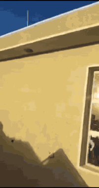 يا الله هاذه شغلي نشاء الله ينال عجابكم لبخ وطلس او لبخ سقل ناعم أو لبخ ونثر او تشميع داخل خارج اي شغل دخل بغداد اني حاضر وبل خدمه شرط شغل درجه اولئ ولتزام بل عمل نتصل وبيك خير وددلل سعار مناسبه وحالين متفرغ ***********
