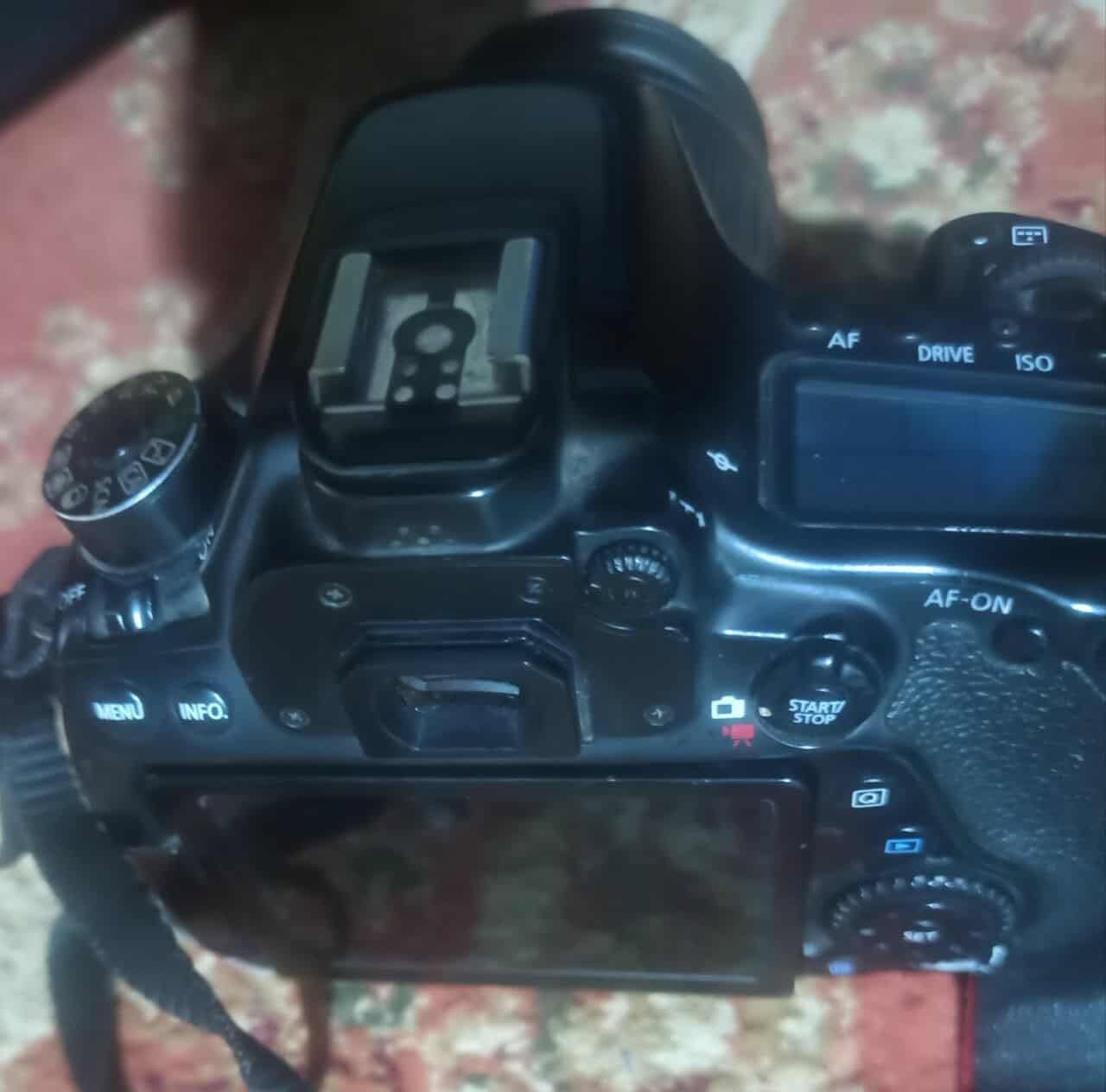 بدي كأمره كانون 80D  + جنطه وشاحنه اصليه وبطاريه اصليه
عدسه 50 ملم كانون 

عدسه 75 -300 بالكارتون

افلاش كأمره خارجي
الغراض كلمن وسعره تعال خاص وتدلل 

مستعجل عل بيع مكاني كوت فلاحيه مراسله الحساب أو اتصال عل رقم ***********
