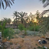 بهرز قرب ابو علون • ٦٠٠م • طابو زراعي