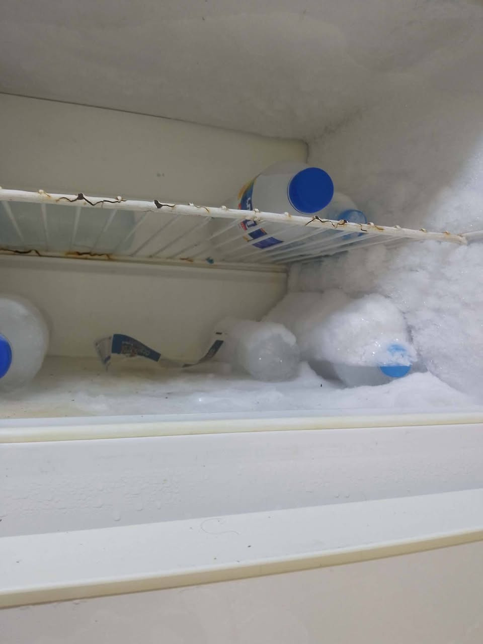 للبيع ثلاجة السعر 75 مكان تل رمان


**إذا كنت صاحب هذا الإعلان وتريد حذفه لأي سبب، رجاءا أرسل رسالة إلى الدعم الفني**