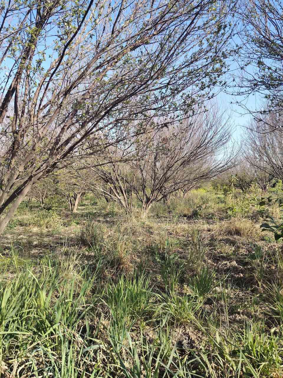 10 دونم بستان طابو زراعي سند 25 كامل الخدمات عالشارع مباشر بغداد الدورة عرب جبور سعر الدونم 160
للاستفسار الاتصال ***********
*********** #عرب_جبور #أراضي_للبيع #سكن_للعقار
