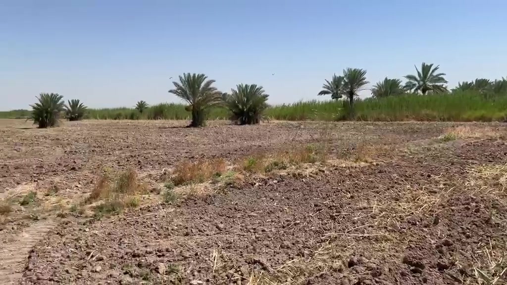 الهم صل على محمد وآل محمد 
أرض للبيع مساحة 3 دونم طابو زراعي صرف ( طابو صرف ) خدمات كاملة تبعد عن الشارع 80 متر

الموقع / شارع سدة محاويل
/ الشمامرة / أراضي الناصرية / مقابيل مدرسة العوفي الابتدائية 

لتفاصيل أكثر
 ***********
***********
