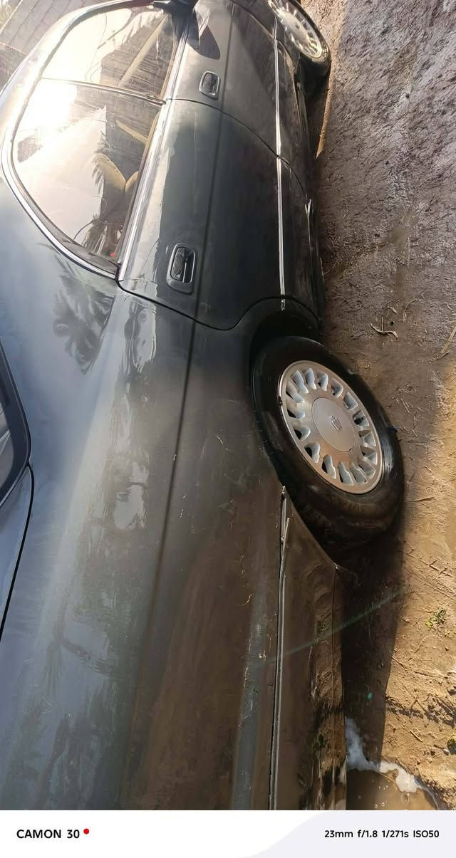 السلام عليكم ورحمه الله وبركاته بطه أصولي رقم انبار مشروع السعر ٣٣ ورقه بيه مجال قليل وطني مفكول من الكصه والنقل تراهم للمراوس حسب القناعه والعيب الشرعي اخوان اني مكلف بلنشر هذا رقم صاحب السياره ***********
