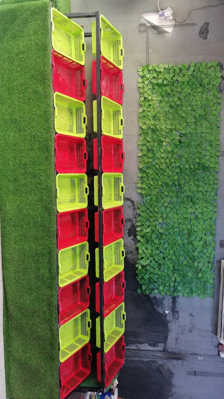 بسم لله الرحمن الرحيم
يتوفر محل مخضر وفواكه مع مخزن  جاهز للأيجار مع بيع كافة غراض المحل ٣ استاندات عرض + جامخانه واجهة المحل +سبلت2 طن  +ميز +ميزان الكتروني١+ميزان عادي ٣ +منظومة كامرات +شاشة+اعلان محل+كرسي مع طبله +غلاية جاي +ام بي ثري+ راوتر + شمعات شحن 2 + سلات كبيره ملونه عدد ٣٤+ سلات دائريه حجم كبيرعدد ٨ +شمعة قاتلة بك وذباب+ باب بصمه+ ترمز ماي وماء اساله يعني محل جاهز ومتكامل مابي نقص اي شي ربع ماتصرف علي تجي وتكعد والموقع ع شارع سايدين تجاري ميه بالميه بجانبهه افران ومخابز وسناتر ومطاعم وصيدليات قرب المستشفى الصيني موقع كلش حلو وحركه حلوه ورزقه خير من الله
سبب البيع طلع تعييني والحمدلله  بعد مااكدر اوفر بين الشغلتين... ربي يرزق الياخذه وشايف بي الف خير
الموقع. البصرة _أبي الخصيب_ العوجة _الشارع العام(سايدين) قرب سنتر الزهراء وسنتر عبدالرضا2 وسنتر لؤلؤه
السعر ٤ مليون
الأيجار الشهري ٣٠٠ ألف
***********
