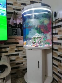 ٠٧٧١٤٧٧٥٥٠٥ حوض جديد سعره 130