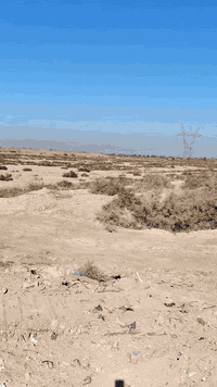 يعلن مكتب الكوخ للعقار عن 5 دوانم خلف بيت كبه باقي التفاصيل داخل الفيد...