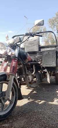 ستوتة • ٢٠١٨ • مكفولة