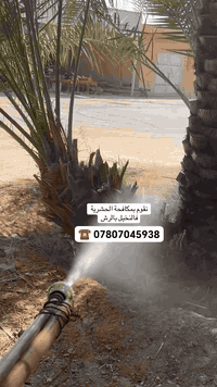 شكراً لثقتك بمكتب الجوهرة! نحن نقدم خدمات مكافحة الآفات، بما في ذلك مكافحة الحشرات التي تصيب النخيل، باستخدام أحدث التقنيات والمبيدات الآمنة. اتصل بنا الآن لتحديد موعد للزيارة والاستفادة من عروضنا الخاصة! 📞 الآن اتصل بنا *********** ✔️
