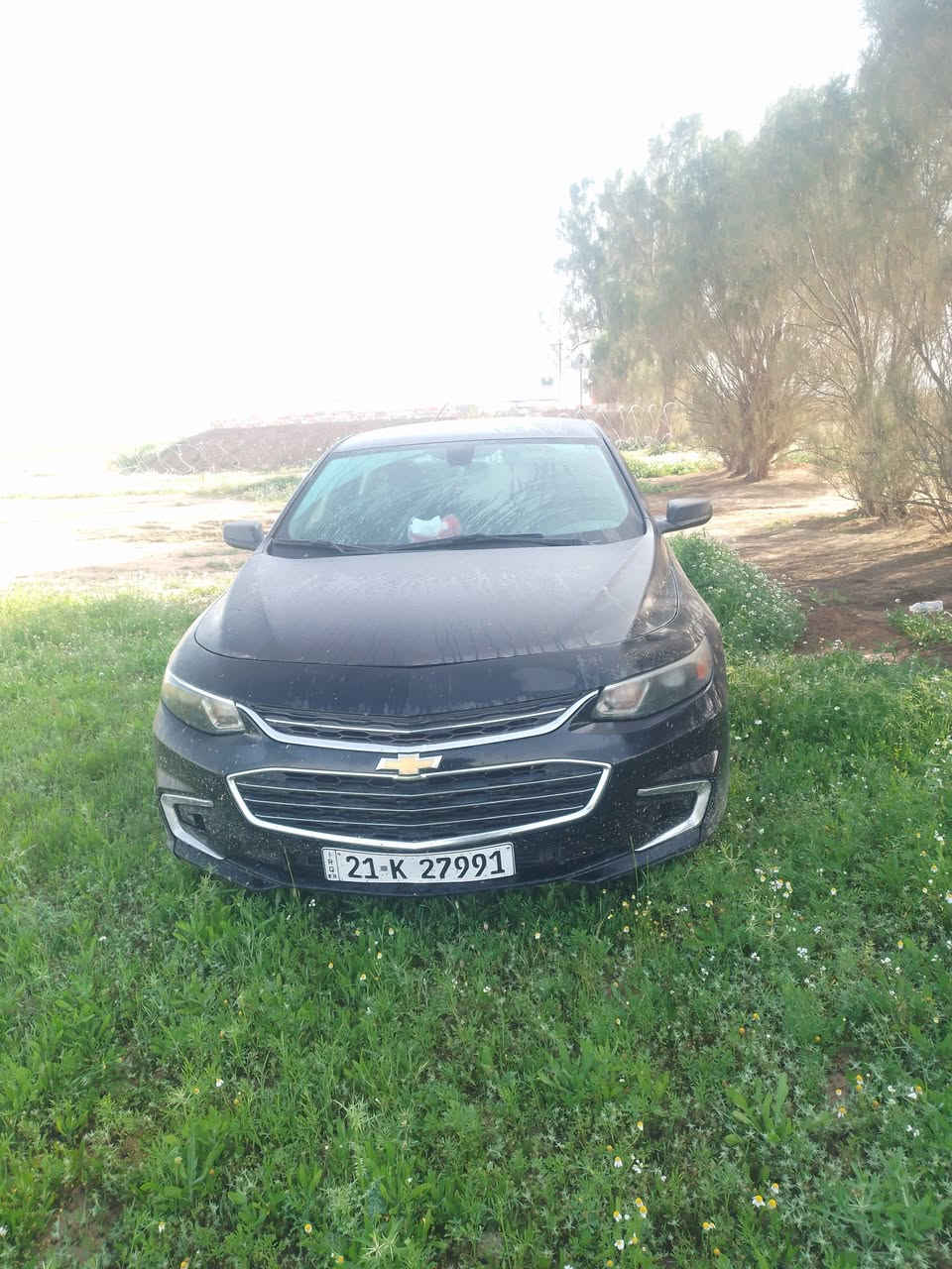 ماليبو١٧ LTلون اسود واردكندي صبغ عام للجمالية بيهة ضربة بالجاملغ الخلفي ٨٥ $


**إذا كنت صاحب هذا الإعلان وتريد حذفه لأي سبب، رجاءا أرسل رسالة إلى الدعم الفني**