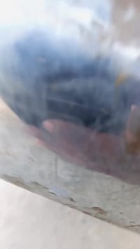 دراجة بيجي • للبيع • مراسلة خاصة