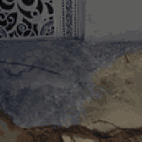 بيت للبيع تجاوز في بغداد البنوك ب20مليون وبي مجال 07739244981واتساب