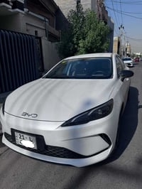 سيل 5 • ٢٠٢٥ • رقم سليمانية