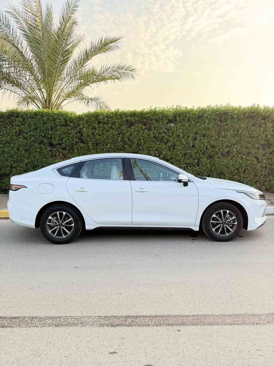 سلام عليكم
للبيع BYD 2025 دستروير

رقم بغداد باسمي

سياره بعده بوضع الزيرو

المسافه المقطوعه 11 الف الكلي 

داخل ابيض + تبريد قطعتين

مكاني بغداد /حي الجامعة

للاستفسار اتصل على الرقم *********** واتساب 

***********
