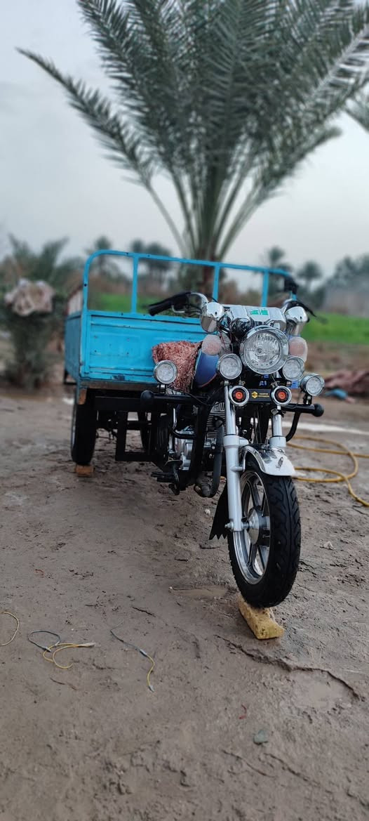 ستوته للبيع موديل 2023 3 براغي المرغوب طالعه ب 2026 وكيله نبيل جرد ستوته جديده جديده  منزل البدي مالته ومخليله بدي تسكام. السعر 2650 وبيه مجال بسيط العنوان الديوانيه قضاء سومر رقم ***********
