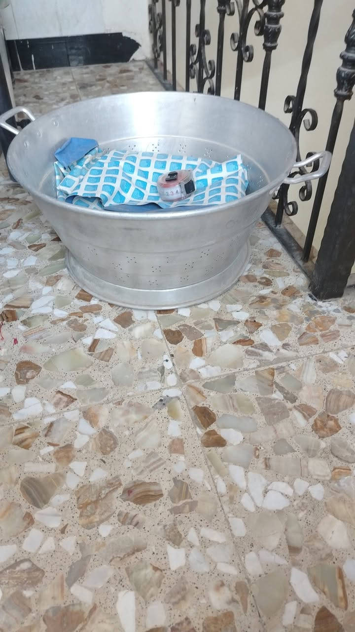 السلام عليكم جدوره اثنين مع مصفي فافون مال الأول قديمات امهات العراوي وانضاف حيل واحد قياس الحلك ٥٤ والثاني ازغر ٤٧ والمصفي ٥٤ أعلى سعر ابيع مكاني رئاسه الأمين


**إذا كنت صاحب هذا الإعلان وتريد حذفه لأي سبب، رجاءا أرسل رسالة إلى الدعم الفني**