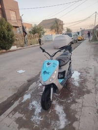ماكس منغولي • فول • واير بريك
