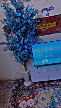 شجره جهنميه • لون ازرق • جديده