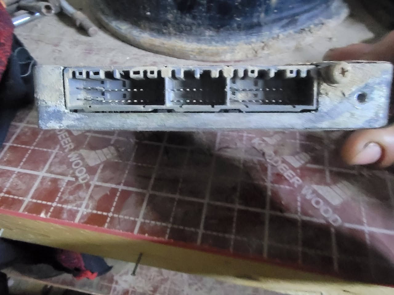 سلام عليكم  غراض تفصيخ البيع
كير مال مكينه كامري ام جف  
وعقل مال مكينه كامري ام جف 
وسلف مال كامري
وديلمو مال كامري وي صير لونجي
وياله ياباني يرهم مراوس وي ويل كاب
عنوان ذي قار قضاء شطره 
رقمي***********
