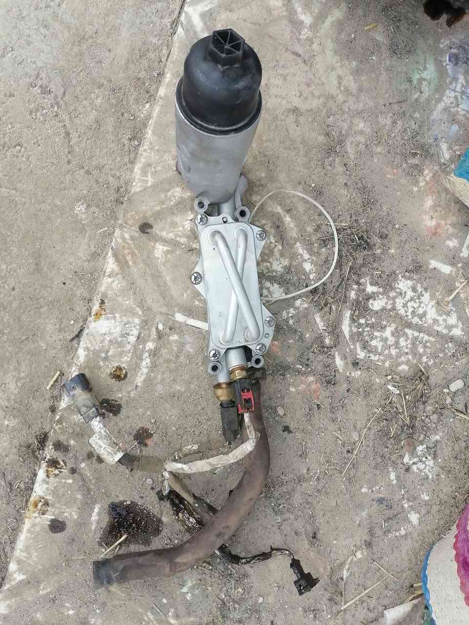 كل عام وأنتم بخير 🌸
السلام عليكم حبايب بدلت مكينة وعندي ذني الغراض كلهن شغالات ومابيهن شي.. ***********
