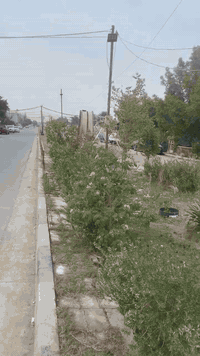 السلام عليكم بيت للبيع مساحه ٦٠ واجهه ٥ نزال١٢ 

تشجير ٥ *٥ كراج يستوعب سياره +حديقه 

الطابق الارضي صاله ومطبخ وحمام وتواليت وغرفه نوم ومنور

الطابق الاول غرفتين نوم وحده منهن سويت  

الطابق الثاني غرفه سندويج 

بناء البيت٢٠١٥

البيت نضيف من الداخل ومصبوغ والصاله بيها ديكور

البيت عالي عن الشارع 

مكانه البيت الحريه السلام على شارع سايدين خلف مدرسه العداله مقابيل الفتحه مال كراج 

للاستفسار *********** متوفر واتساب
