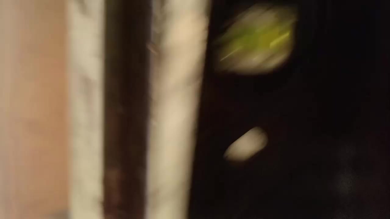 السلام عليكم اخوان اي واحد يحتاج خلفه لبخ جص او سمنت  ياخف الله وحريص ع عمله شرط جوه السوك الي يريد راح اخلي رقمي ويتصل   ***********
